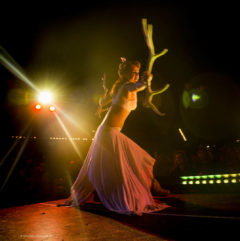 Photos by Glenn Steiner (53/102)